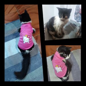 A Second Chance at Life: Emma’s Story